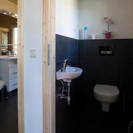 Chalet Aron Kreischberg 10a *
