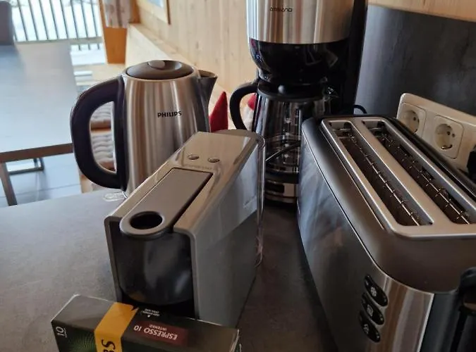 Chalet Aron Kreischberg 10a *